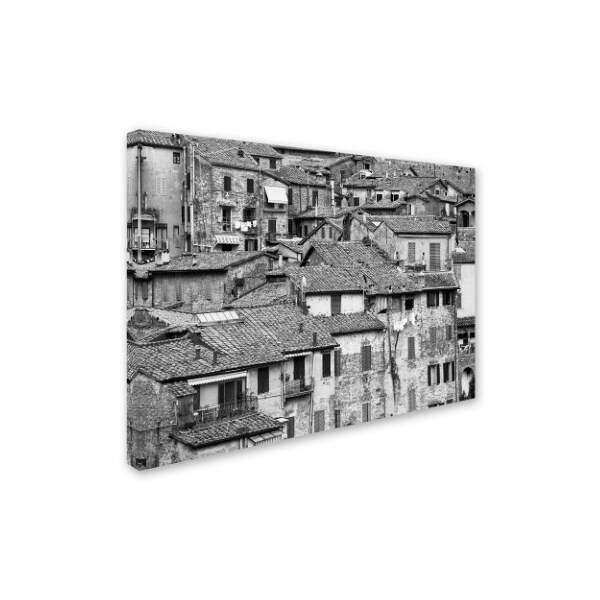 Moises Levy 'San Gimignano Texture' Canvas Art,14x19